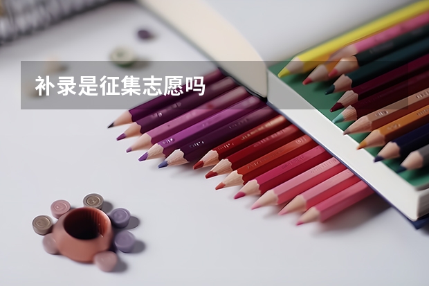 补录是征集志愿吗