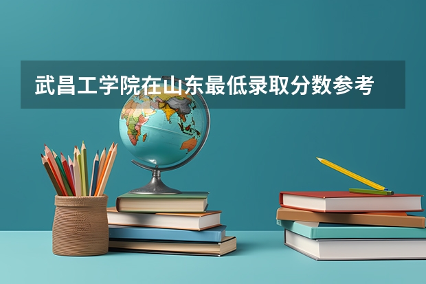 武昌工学院在山东最低录取分数参考