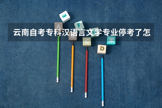 云南自考专科汉语言文学专业停考了怎么办？