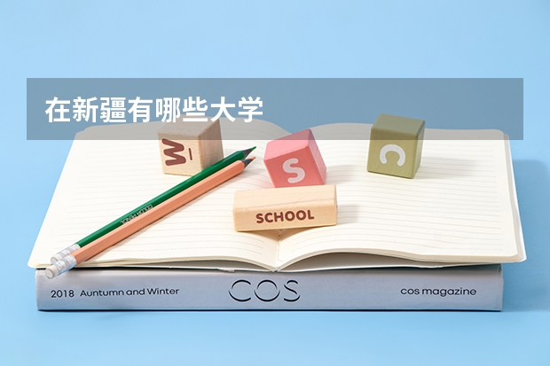 在新疆有哪些大学