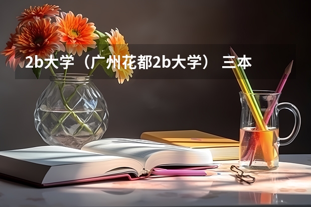 2b大学（广州花都2b大学） 三本大学排名榜