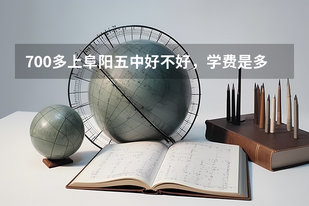 700多上阜阳五中好不好，学费是多少?有奖学金吗?听说五中是贵族学校?