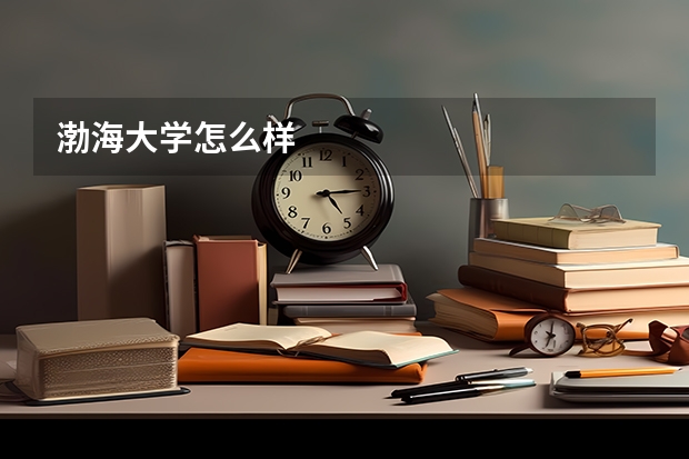 渤海大学怎么样