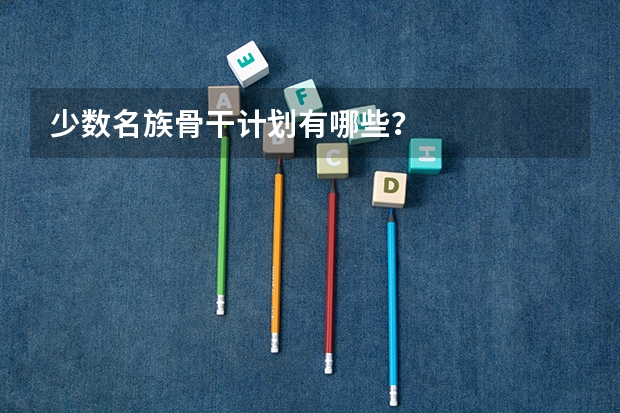 少数名族骨干计划有哪些？