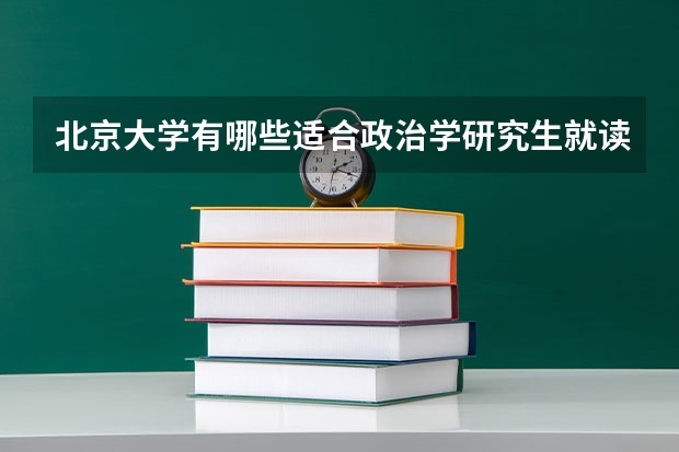 北京大学有哪些适合政治学研究生就读的专业？