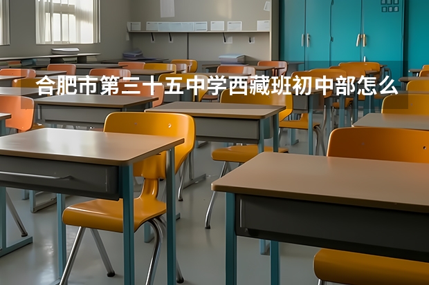 合肥市第三十五中学西藏班初中部怎么样