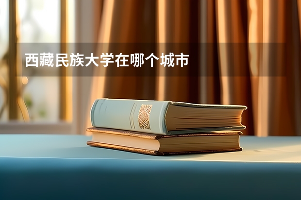 西藏民族大学在哪个城市