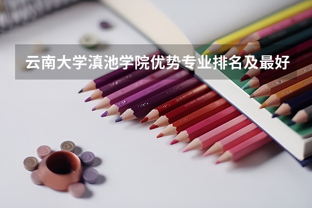 云南大学滇池学院优势专业排名及最好的专业有哪些