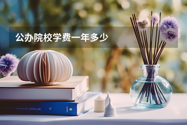 公办院校学费一年多少