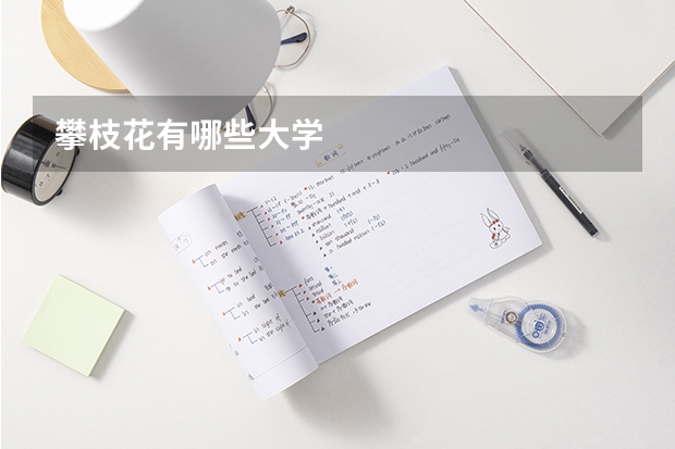 攀枝花有哪些大学