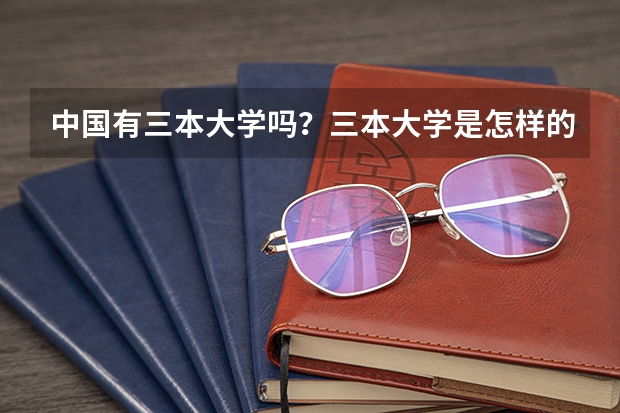 中国有三本大学吗？三本大学是怎样的呢？