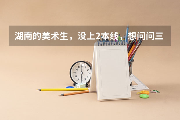 湖南的美术生,没上2本线,想问问三本跟专科是怎么回事啊?