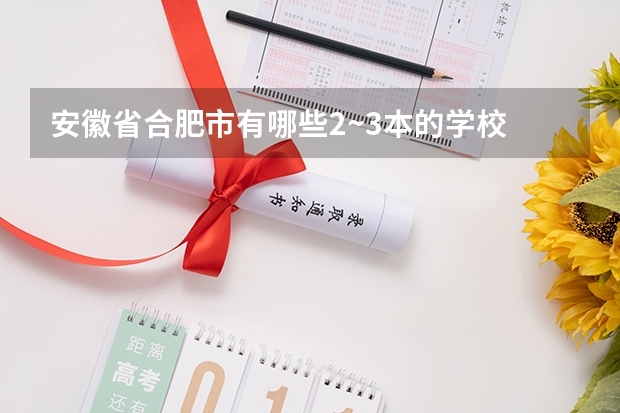 安徽省合肥市有哪些2~3本的学校