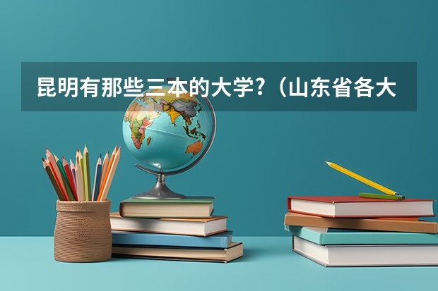 昆明有那些三本的大学?（山东省各大学排行榜）