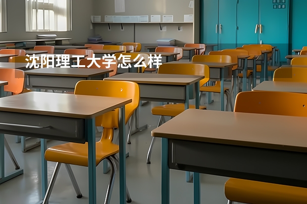 沈阳理工大学怎么样