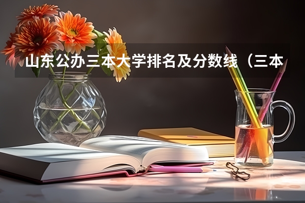 山东公办三本大学排名及分数线（三本大学排名榜 全国最好的三本学校）