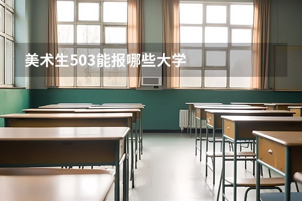 美术生503能报哪些大学
