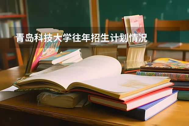 青岛科技大学往年招生计划情况
