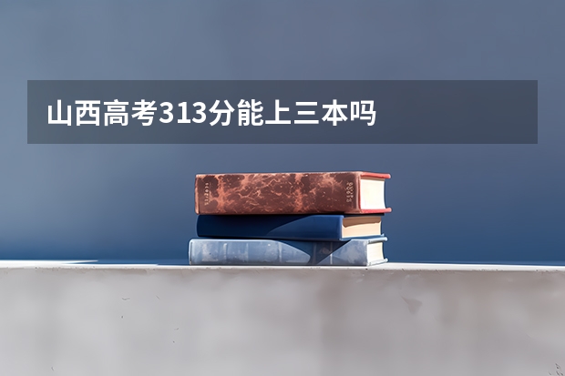 山西高考313分能上三本吗