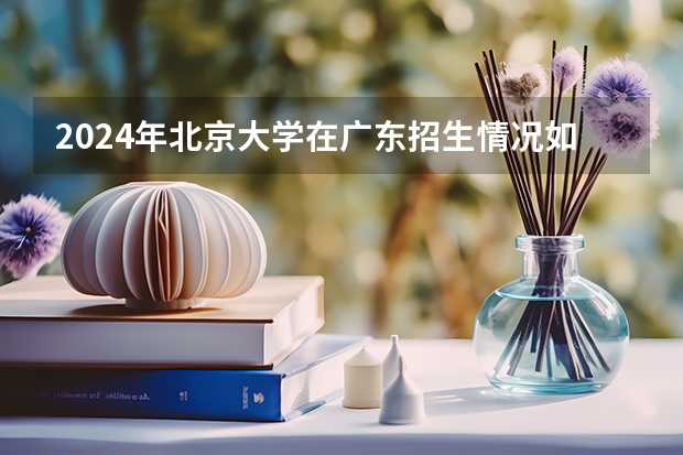 2024年北京大学在广东招生情况如何