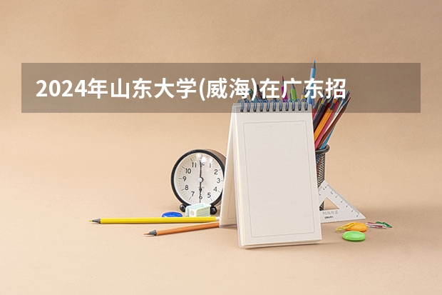 2024年山东大学(威海)在广东招生情况如何