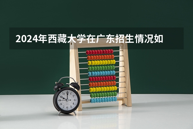 2024年西藏大学在广东招生情况如何