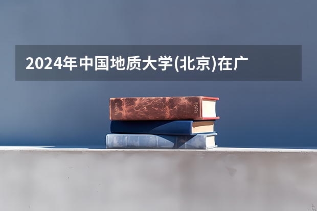 2024年中国地质大学(北京)在广东招生情况如何
