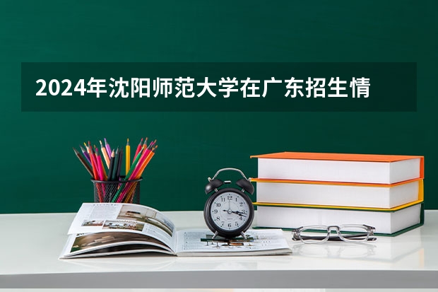 2024年沈阳师范大学在广东招生情况如何