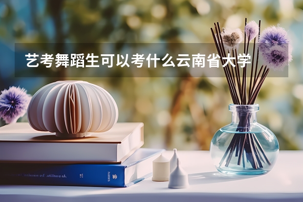 艺考舞蹈生可以考什么云南省大学