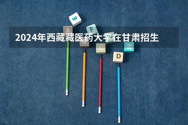 2024年西藏藏医药大学在甘肃招生计划如何