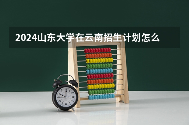 2024山东大学在云南招生计划怎么样