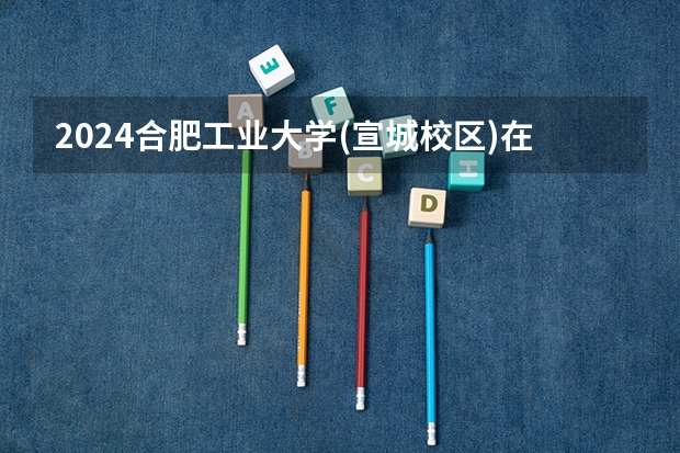 2024合肥工业大学(宣城校区)在山东招生情况怎么样