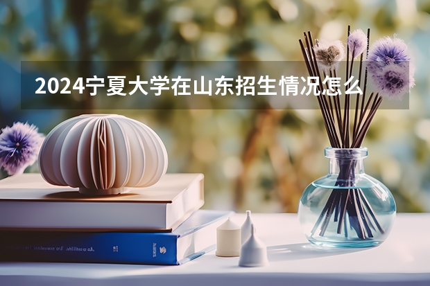 2024宁夏大学在山东招生情况怎么样