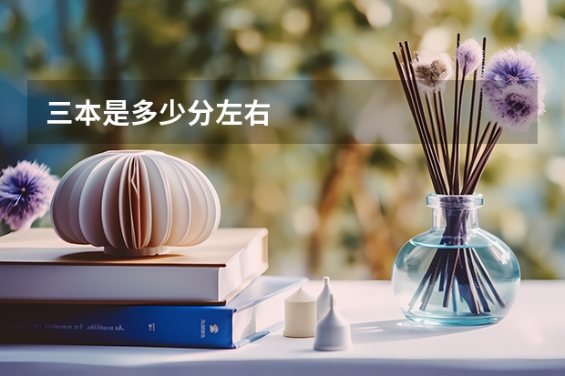 三本是多少分左右