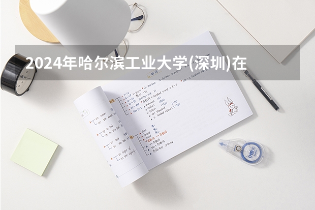 2024年哈尔滨工业大学(深圳)在广东招生情况如何