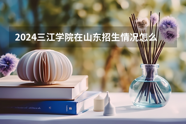 2024三江学院在山东招生情况怎么样