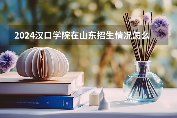 2024汉口学院在山东招生情况怎么样