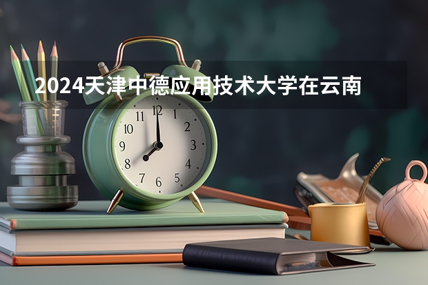 2024天津中德应用技术大学在云南招生计划怎么样