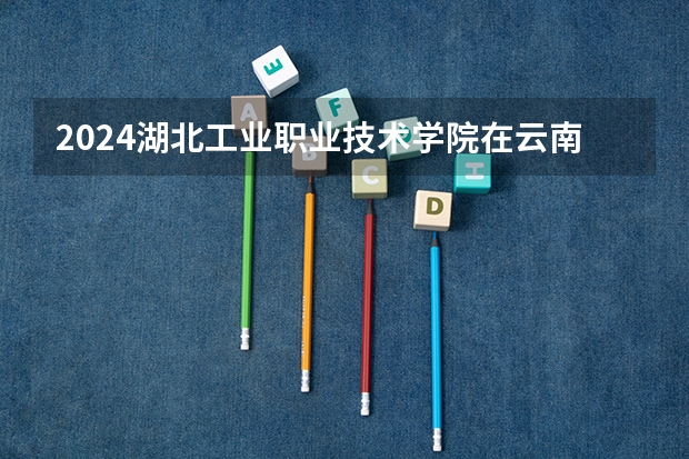 2024湖北工业职业技术学院在云南招生计划怎么样