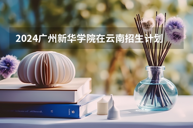 2024广州新华学院在云南招生计划怎么样
