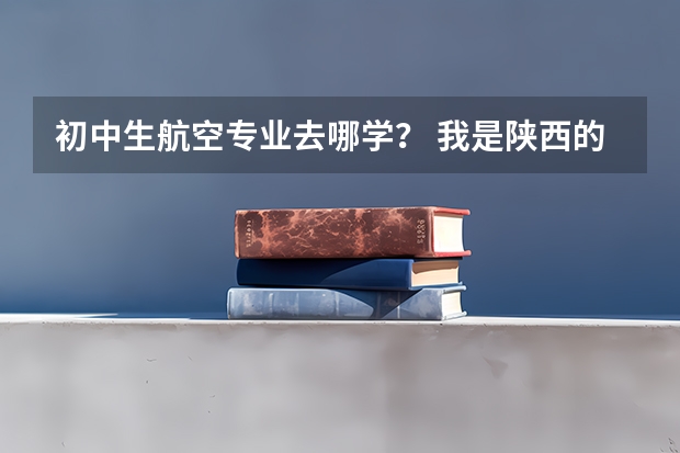 初中生航空专业去哪学? 我是陕西的一名高中生,我想知道当飞行员除了身体好,还有啥成绩要求?