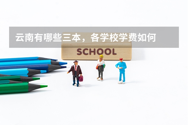 云南有哪些三本，各学校学费如何