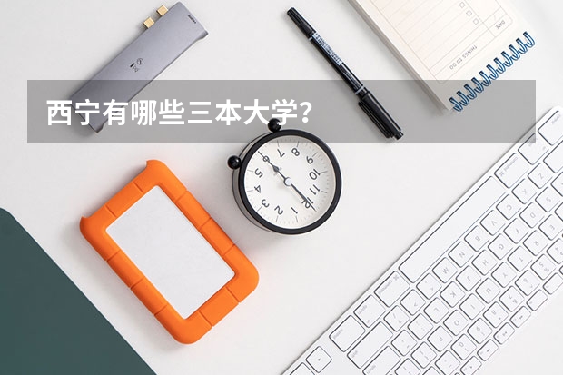 西宁有哪些三本大学?