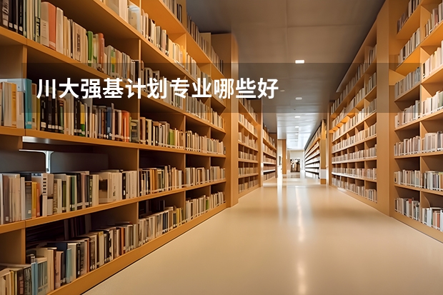 川大强基计划专业哪些好
