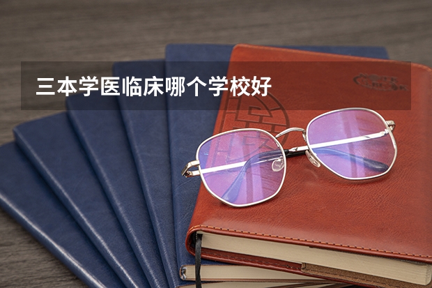 三本学医临床哪个学校好