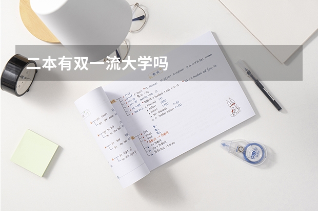 二本有双一流大学吗