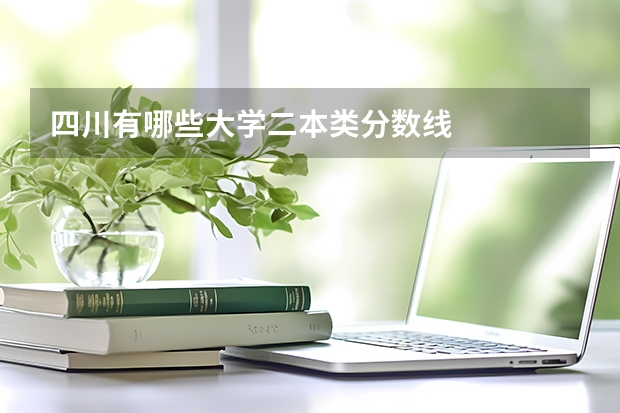 四川有哪些大学二本类分数线