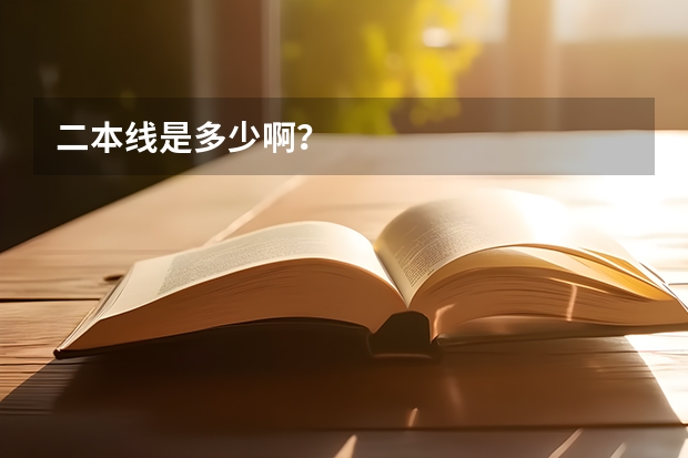 二本线是多少啊?