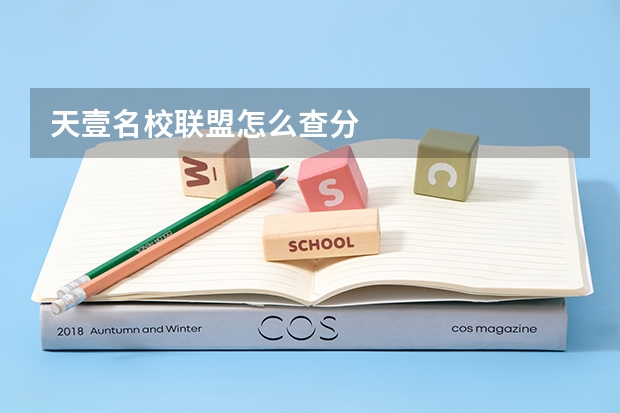 天壹名校联盟怎么查分