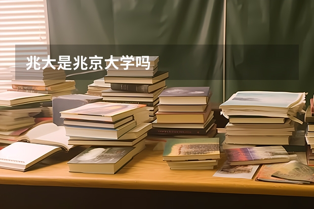 兆大是兆京大学吗